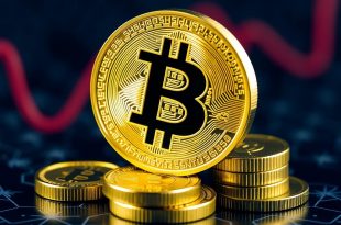 The Role of Cryptocurrency in Personal Finance: Navigating the Future of Money