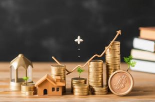 How to Diversify Your Investment Portfolio: A Step-by-Step Guide to Smarter Investing