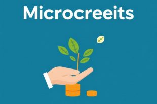 Microcrédits pour petites entreprises : un levier essentiel pour l’entrepreneuriat