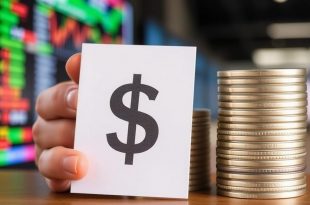 Stocks vs. Bonds: Which is Better for Beginners?