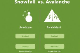 The Snowball vs. Avalanche Debt Repayment Methods: Which One Works Best for You?