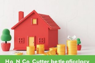 Cómo conseguir un préstamo sin historial crediticio: guía práctica y cercana para empezar con buen pie
