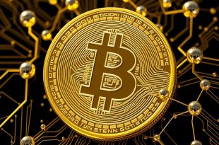 Criptocréditos: ¿El futuro del financiamiento? Descubre cómo podrían transformar el dinero y el crédito