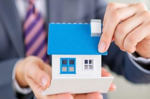 Amortización a capital: qué es, por qué importa y cómo puede beneficiarte hoy